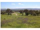 Lot 8, 137 COYLE’S ROAD, Wodonga VIC 3690