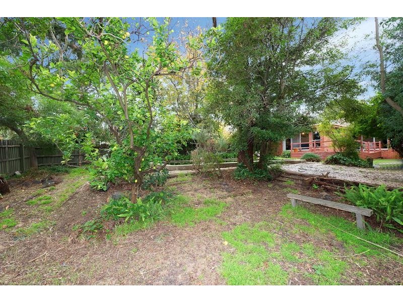 12 Morell Street, Glen Iris VIC 3146