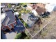 17 Netherlee Street, Glen Iris VIC 3146