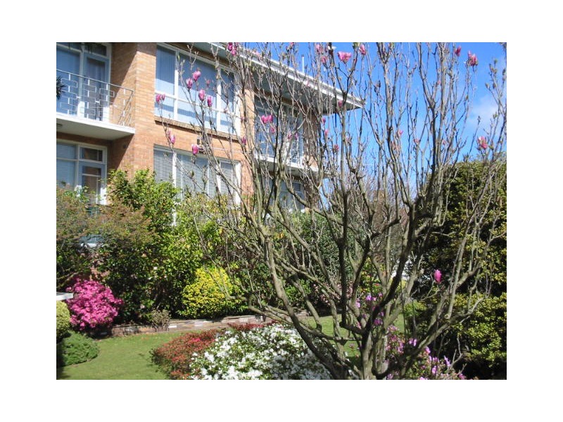 4/13 Myrniong Street, Glen Iris VIC 3146