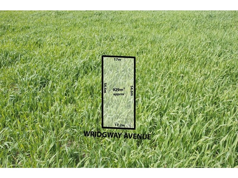 30 Wridgway Ave, Burwood VIC 3125