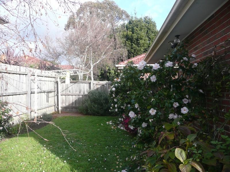 5 Lithgow Street, Glen Iris VIC 3146