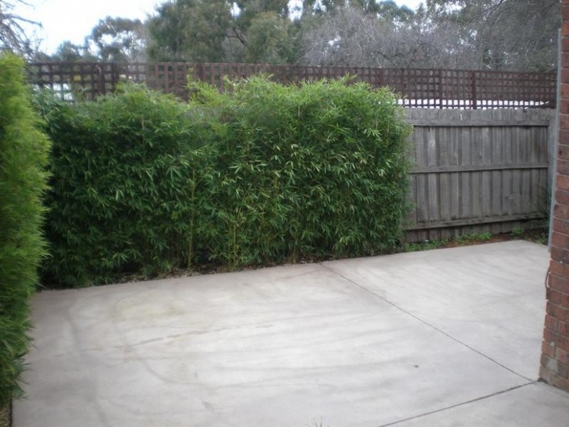 3/7 McCubbin Street, Burwood VIC 3125