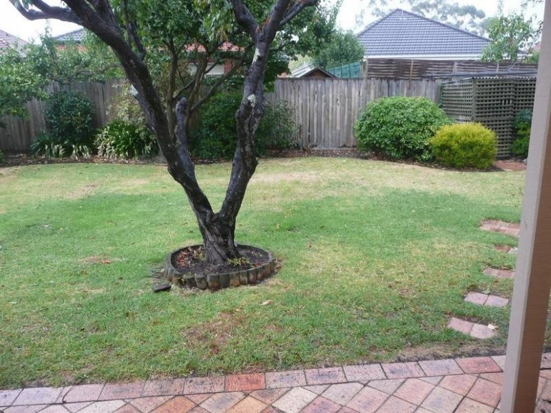 4 Amery Street, Ashburton VIC 3147