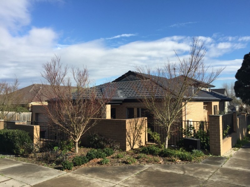 8 Lillian Street, Glen Iris VIC 3146