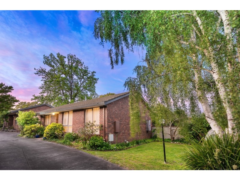 3/59 Athelstan Road, Camberwell VIC 3124