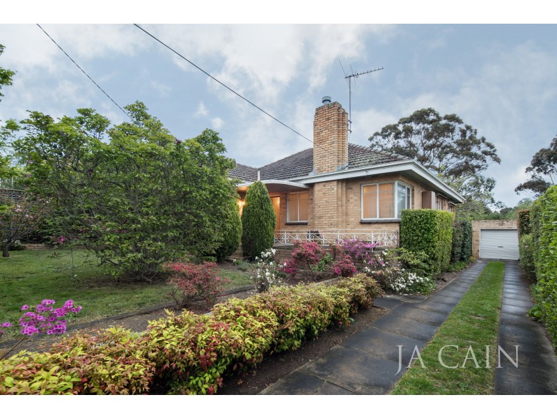 17 Malvern Avenue, Glen Iris VIC 3146