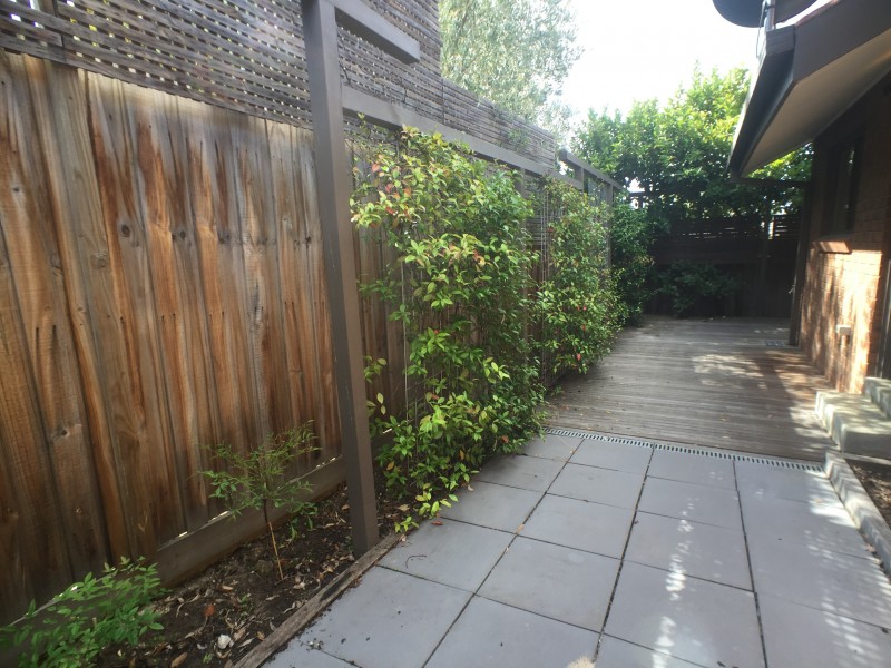 4/29 Donna Buang Street, Camberwell VIC 3124