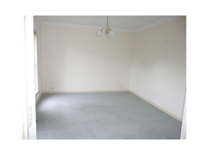 10A Somerset Road, Glen Iris VIC 3146