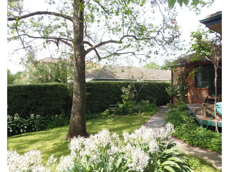 16 Nerissa Street, Glen Iris VIC 3146