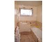 Webb Street, Glen Iris VIC 3146