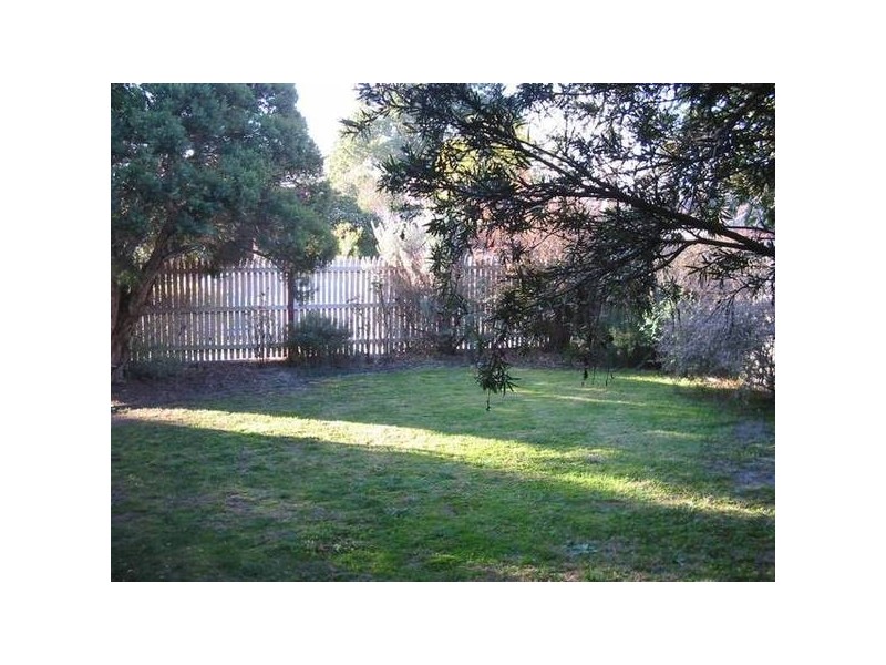 Douglas Street, Ashwood VIC 3147