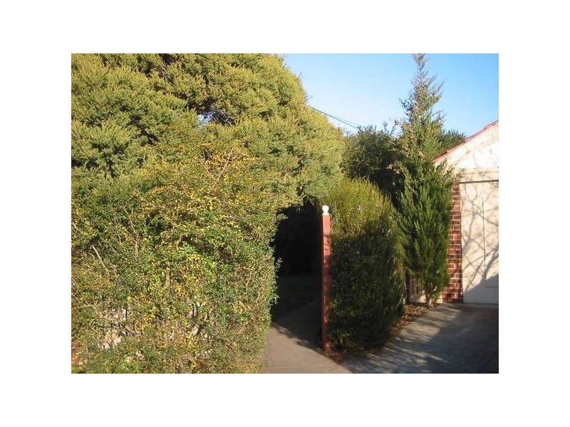 Douglas Street, Ashwood VIC 3147