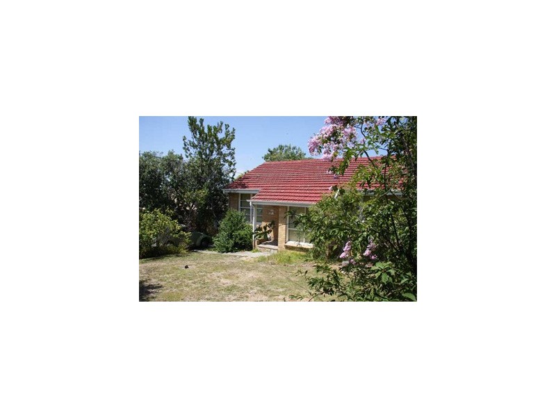 54 Neville Street, Box Hill South VIC 3128