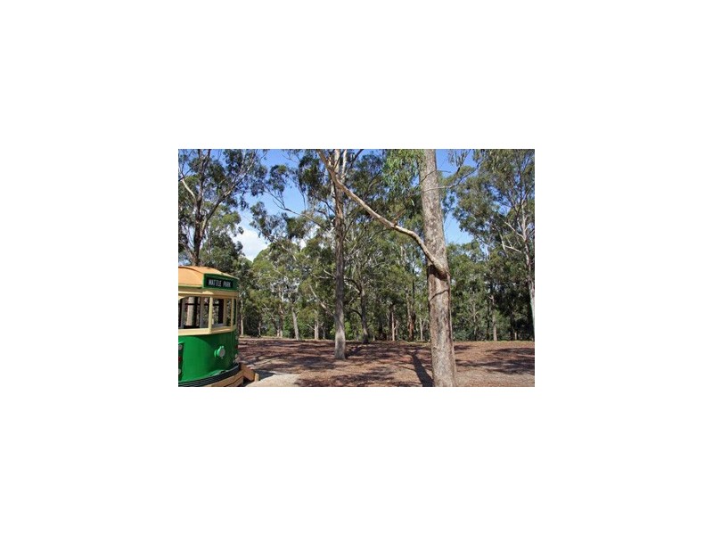 54 Neville Street, Box Hill South VIC 3128