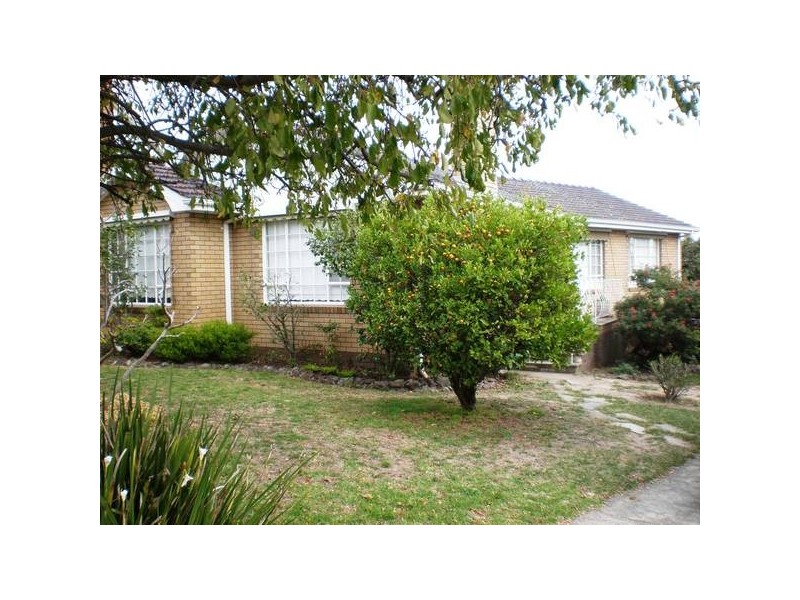 11 Rosaline Ave, Mount Waverley VIC 3149