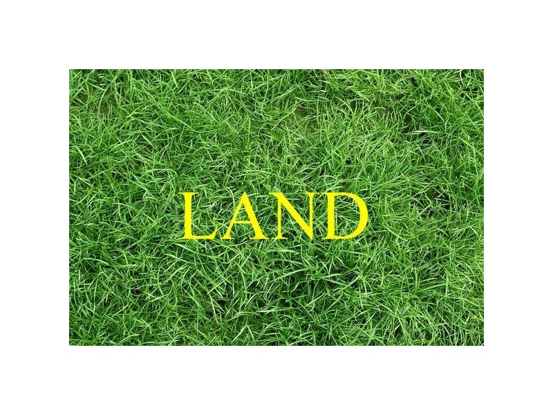 2A Beech Street, Camberwell VIC 3124