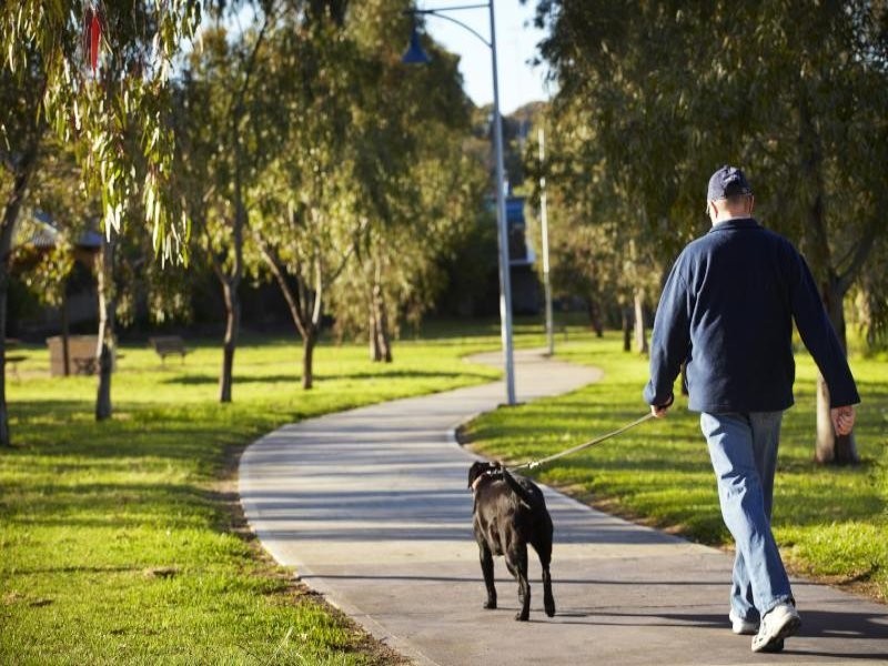 24 Craig Street, Keilor East VIC 3033