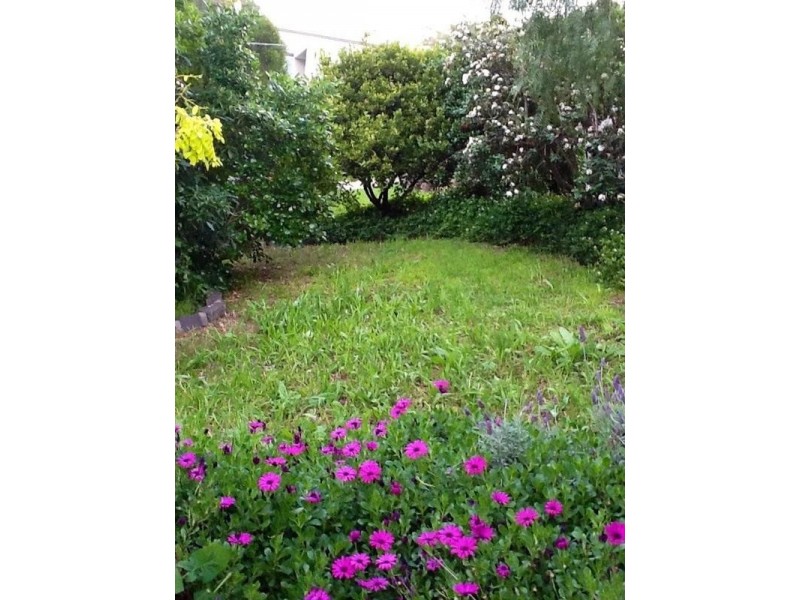 14 Newsom Street, Ascot Vale VIC 3032