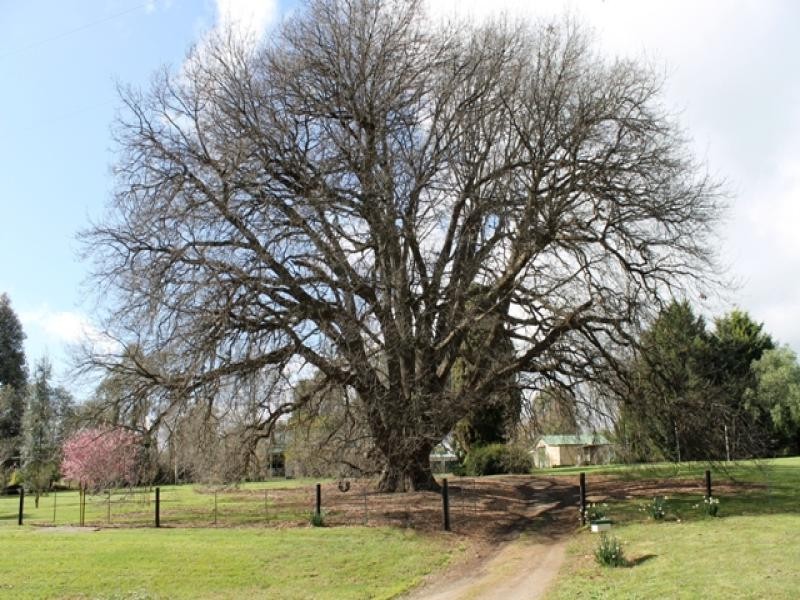 1A Pepperell Drive, Drouin VIC 3818