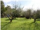 1420 Jacksons Track, Jindivick, Neerim South VIC 3831