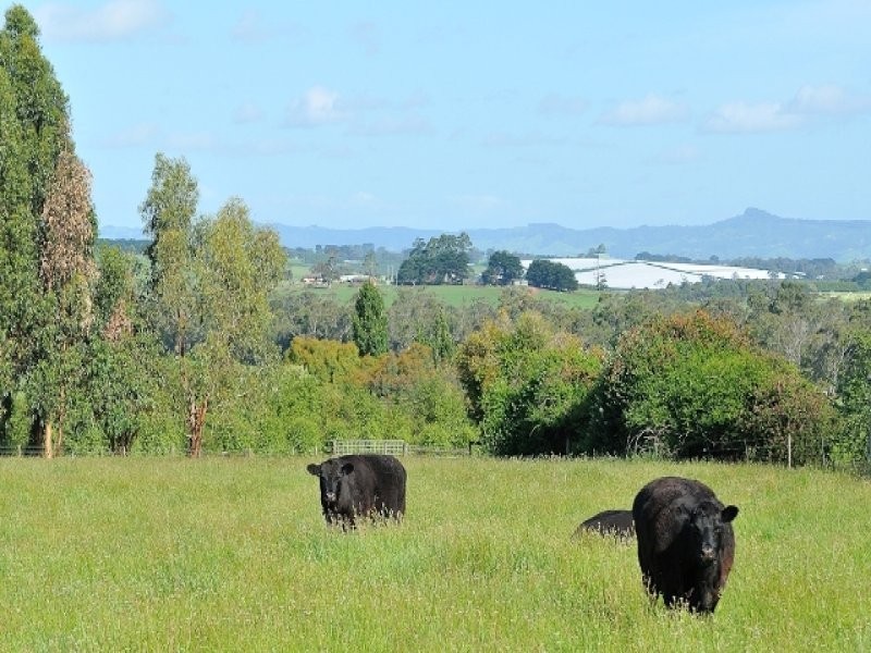 255 Main South Road, Drouin VIC 3818