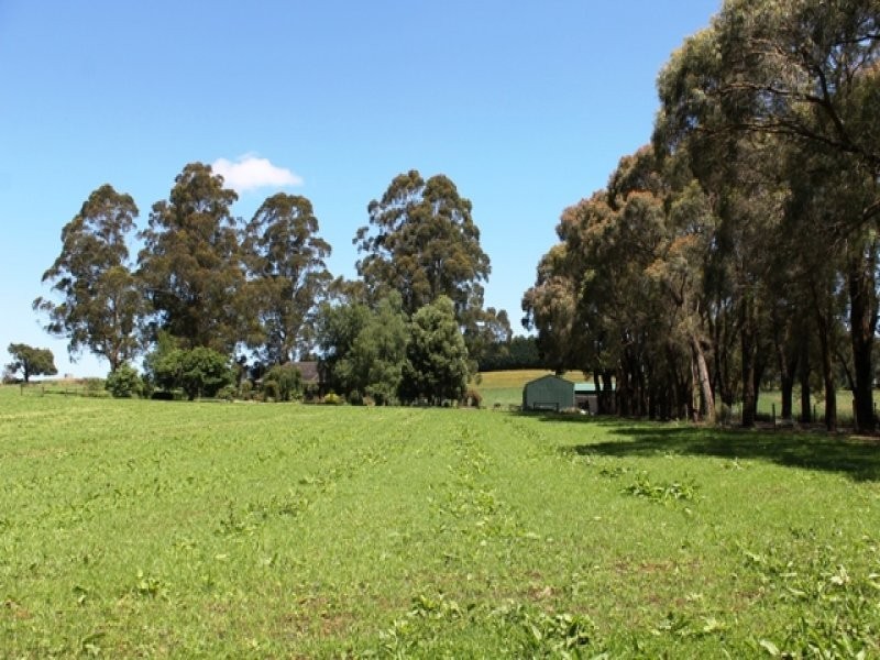 81 McIntyre Road, Nayook VIC 3821