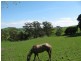 170 Sullivans Road, Whitelaw VIC 3950