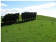 170 Sullivans Road, Whitelaw VIC 3950