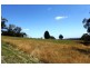 1665 Main Neerim Road, Neerim South VIC 3831
