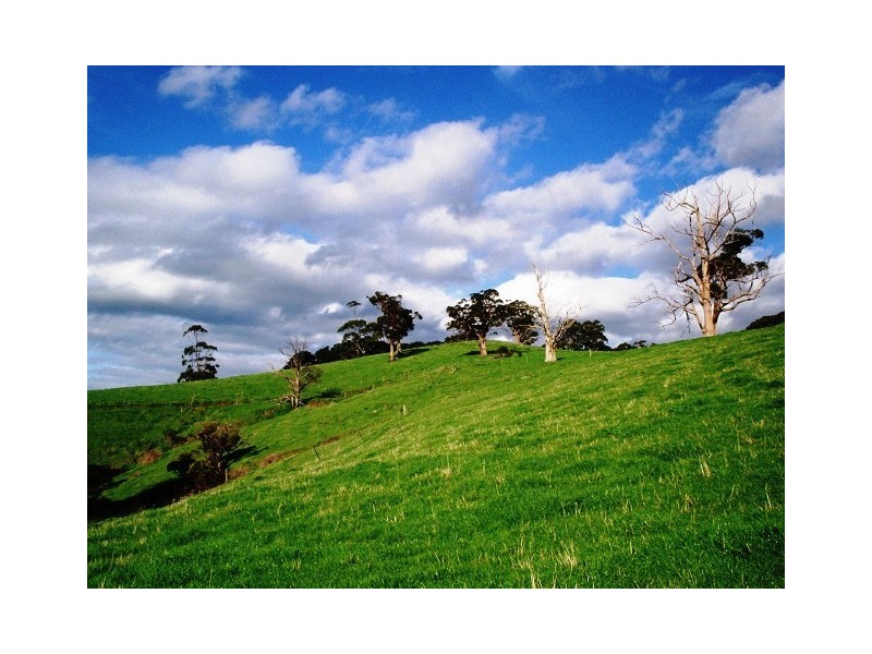 590 Yarragon Leongatha Road, Yarragon South VIC 3823