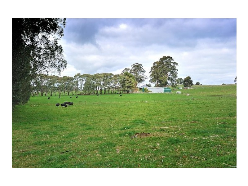 81 McIntyre Road, Nayook VIC 3821