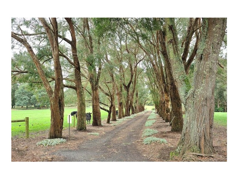 81 McIntyre Road, Nayook VIC 3821