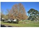 92 Kennys Road, Trafalgar VIC 3824