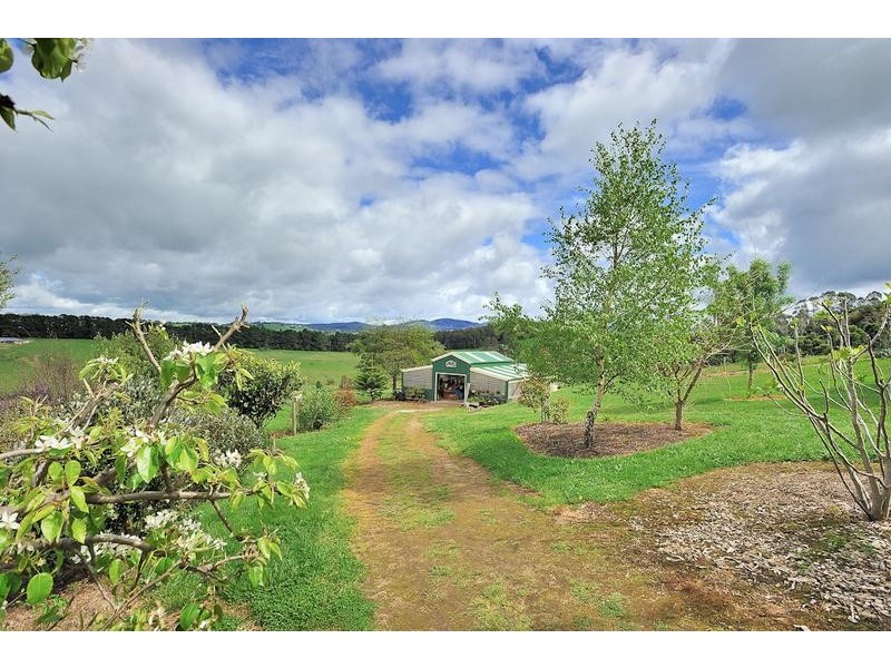 40 Shirley Road, Neerim South VIC 3831