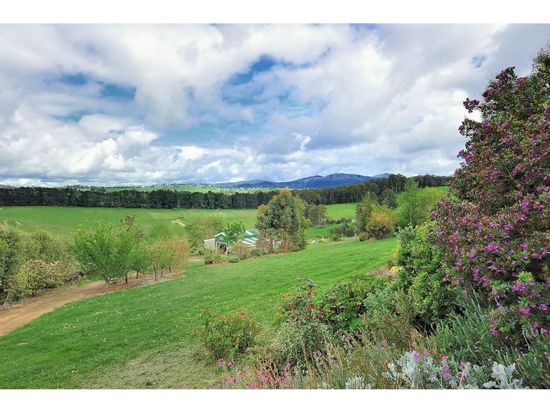 40 Shirley Road, Neerim South VIC 3831
