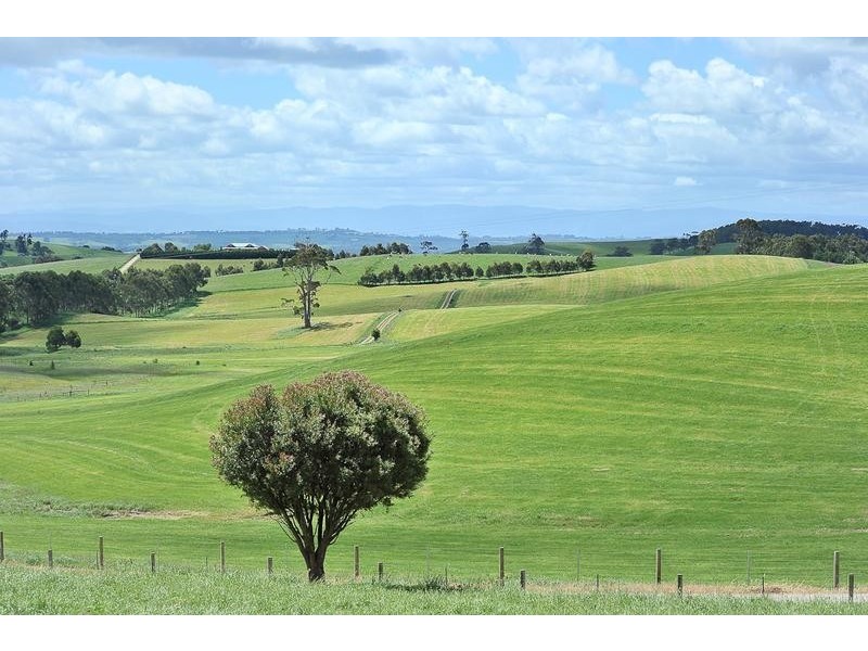 1081 Lang Lang – Poowong Road, Poowong VIC 3988