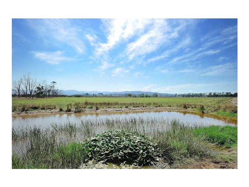 170 Kydd Road, Labertouche VIC 3816