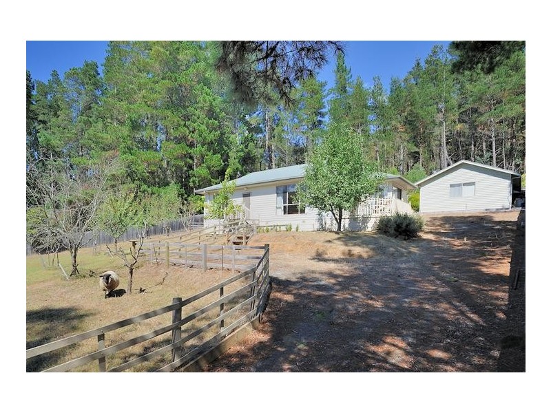 600 Mt Baw Baw Tourist Road, Noojee VIC 3833