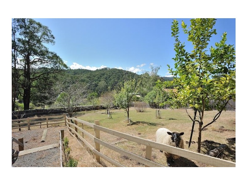 600 Mt Baw Baw Tourist Road, Noojee VIC 3833