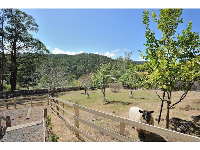 600 Mt Baw Baw Tourist Road, Noojee VIC 3833