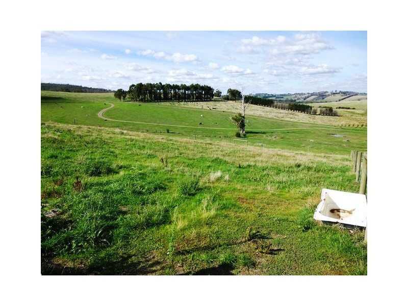 111 Tonkin Road, Labertouche VIC 3816