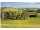 Ripplebrook VIC 3818