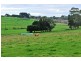 Ripplebrook VIC 3818