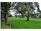 Ripplebrook VIC 3818