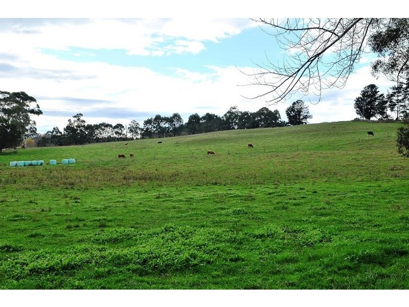 Ripplebrook VIC 3818