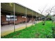 Ripplebrook VIC 3818