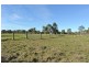 12 Newell Road, Longwarry VIC 3816