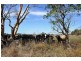 Lot 2, 170 Kydd Road, Labertouche VIC 3816