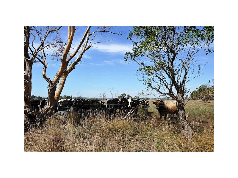 Lot 2, 170 Kydd Road, Labertouche VIC 3816